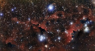 Las alas de la nebulosa de la Gaviota 